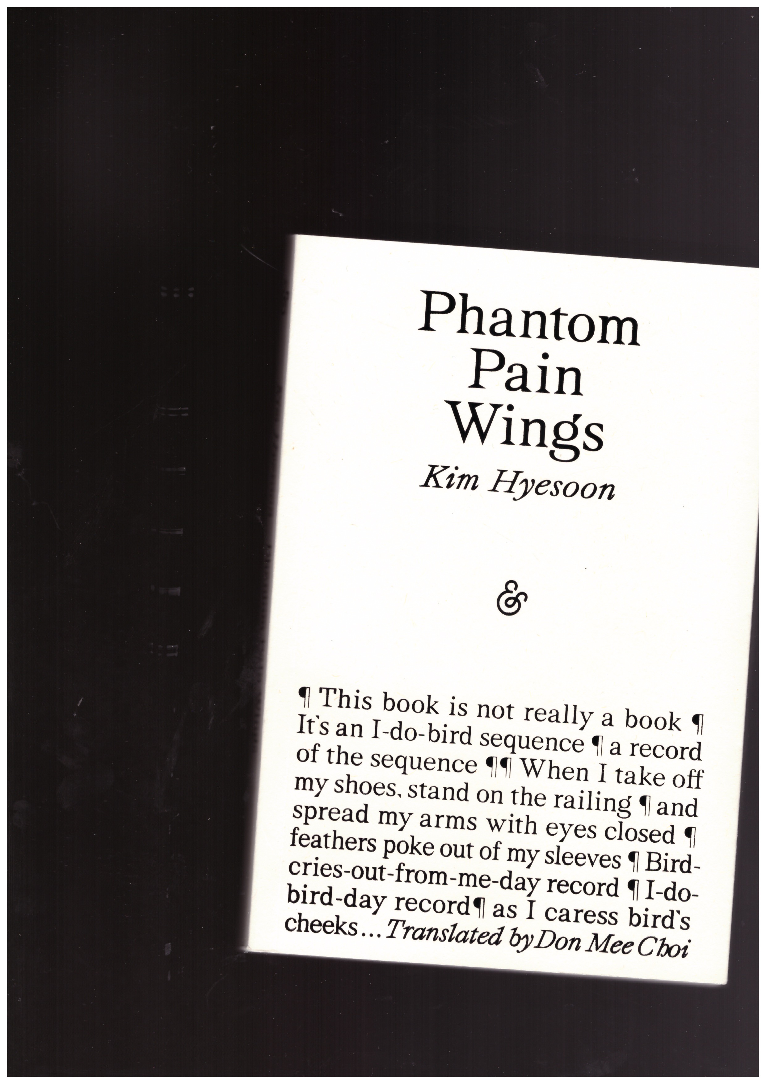 HYESOON, Kim - A Phantom Pain Wings